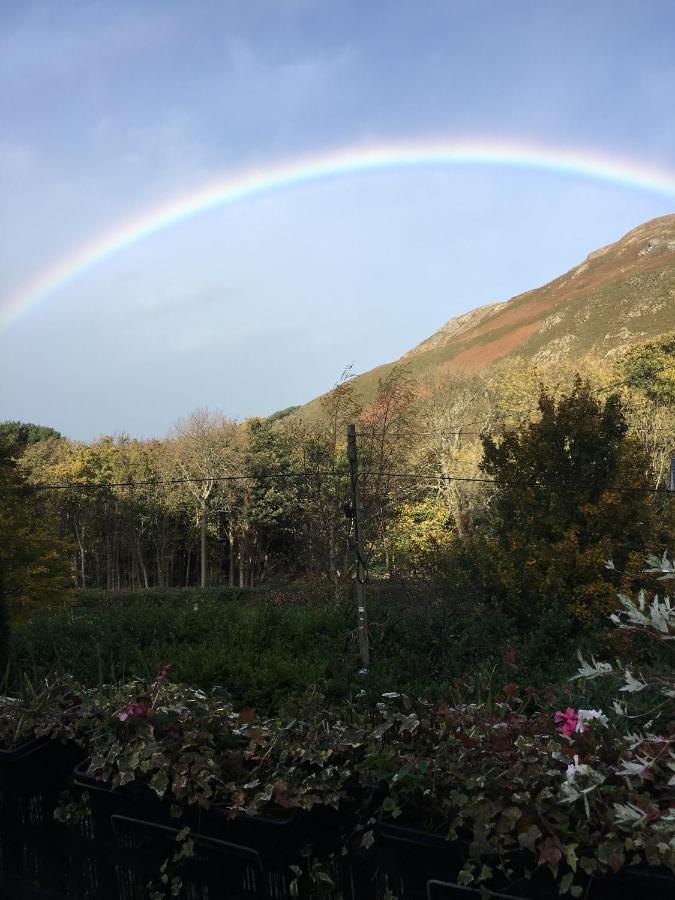 Woodbriar Bed and Breakfast Penmaen-mawr Buitenkant foto